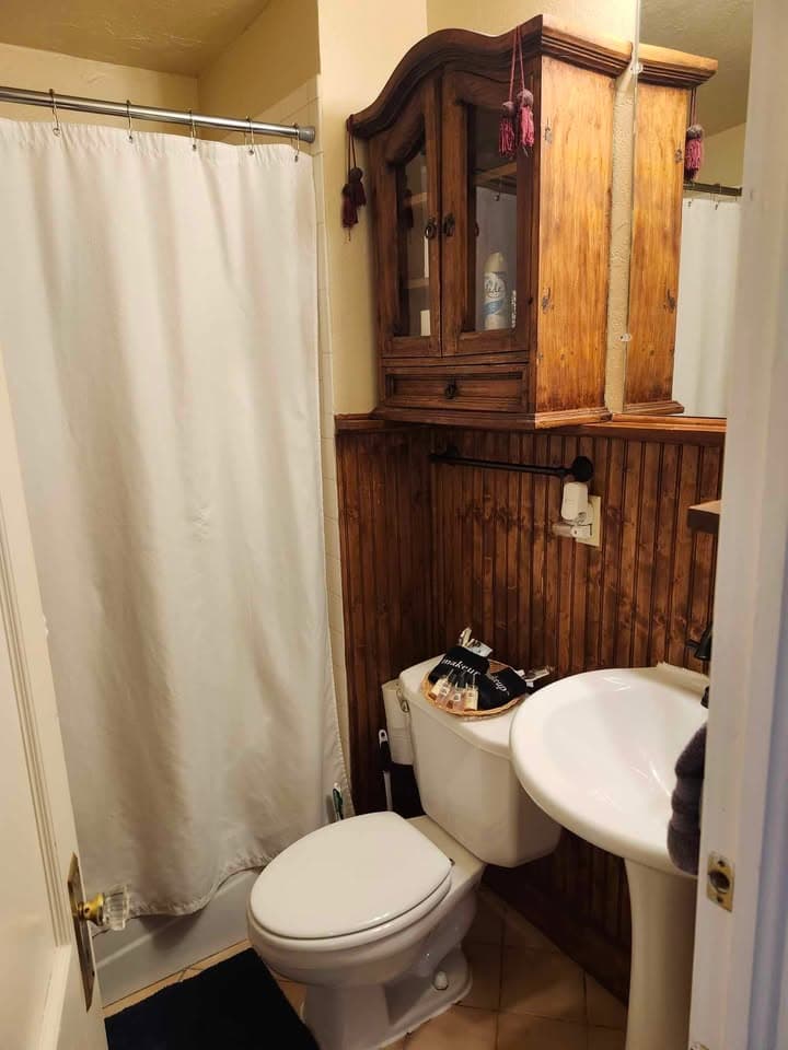 A small bathroom featuring a shower curtain, wooden cabinetry, a toilet, and a sink.