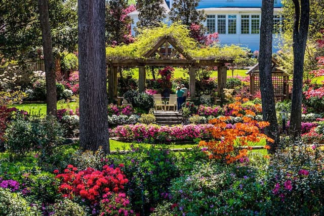 Pyron garden open for walking during the Tyler Azalea trails