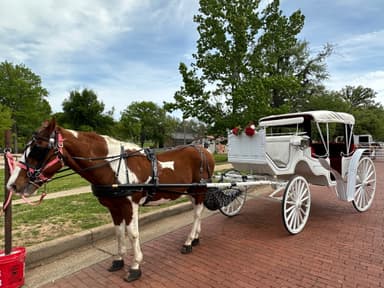 white carriage attached to a brown and white horse on the brick street