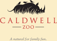 yellow background with a black rhino and birds on rhinos' back underneath rhinow in red letters it says Cladwell Zoo and that in black letters words are A natural for family fun.