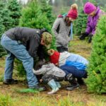 man and his two children cutting down a Christmas tree-two more adults in the background looking for a tree