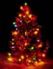 christmas-tree-from-flicker