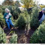 2 people cutting down a Christmas tree