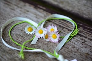 Green heart shaped ribbon on wood table with daises in the middle