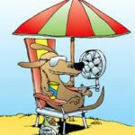 Dog with sunglasses undera green and red umbrella with a fan blowing on hime