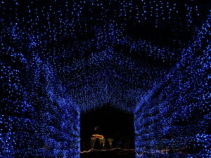 Tunnel of lights to drive thru-the lights are blue-there ois alight image at the end of the tunnel