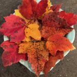 White square plate with many fall colored leaves arranged on it. Includes colrs of red,orange and yellow