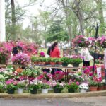 lots ofspring flowers of all kindson tiered stands