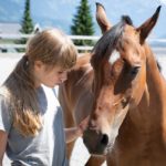 child and horse