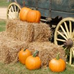 Side of a wagon with hay bales in front. There are 5 orange pumpkins places around the hay bales