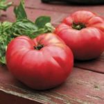 two red rip tomatos on a brown table top with som green leaves behind the tomatoes