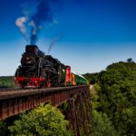 texas state railroad train ride