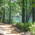 Dirt trail at Tyler State Park. On the right side of the trail are many green trees and a lake