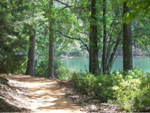 Trail along Tyler Sate Park.