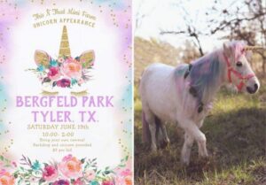 Poster for Bergfeld park Unicorn festival June 19,2021